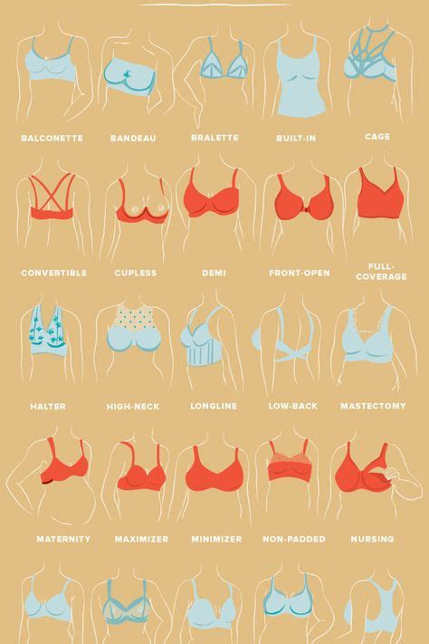 good girls boobs|The 10 Types of Boobs — Heres What to Know, According to Ob。